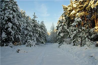 《光环》电视剧第二季首张海报公布 2024年2月8日首播
